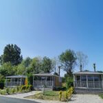 Flower Camping Vitamin - Bild 1 Flower Camping Vitamin - Bild 1