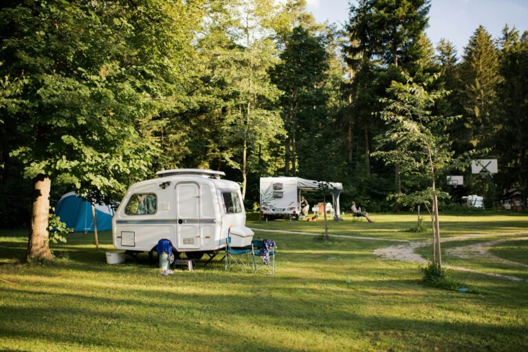 Forest Camping Mozirje - Bild 2