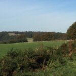 Forest Glade Holiday Park - Bild 10