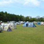 Forest Glade Holiday Park - Bild 3