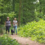 Forest Glade Holiday Park - Bild 4