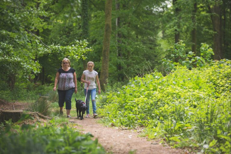 Forest Glade Holiday Park - Bild 4