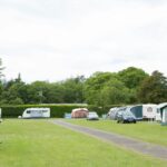 Forest Glade Holiday Park - Bild 5