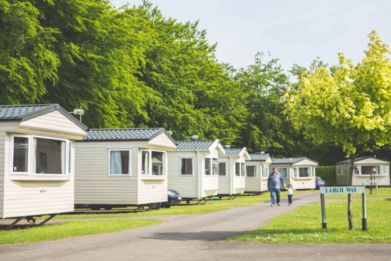 Forest Glade Holiday Park - Bild 9