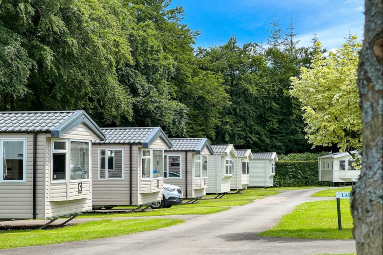 Forest Glade Holiday Park - Bild 1