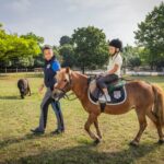 Fornella Camping & Wellness Resort - Bild 17 Fornella Camping & Wellness Resort - Bild 17