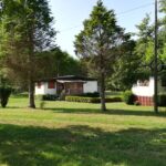 Future Is Nature - Bild 2