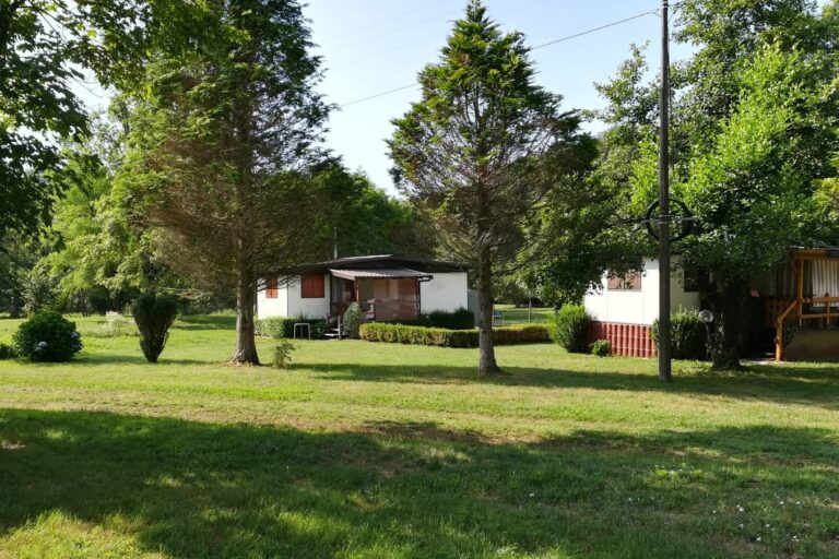 Future Is Nature - Bild 2