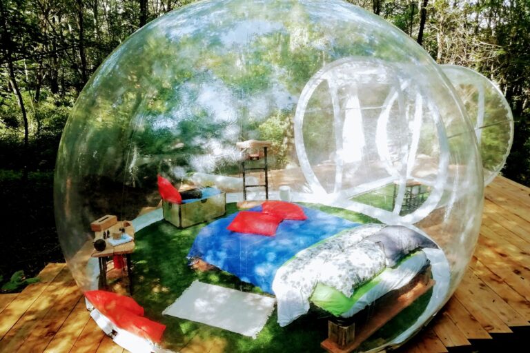 Future Is Nature - Bild 3