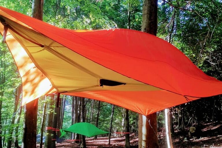 Future Is Nature - Bild 4