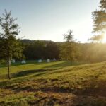 Future Is Nature - Bild 5