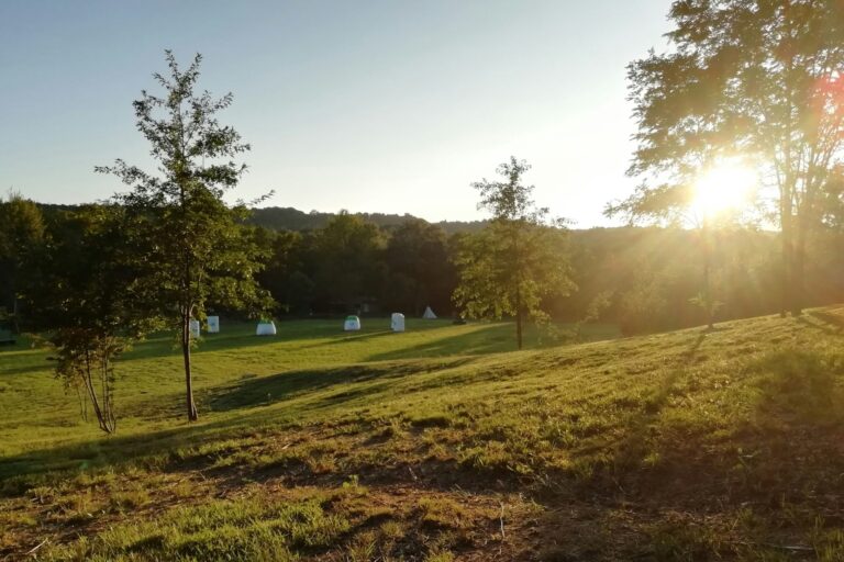 Future Is Nature - Bild 5