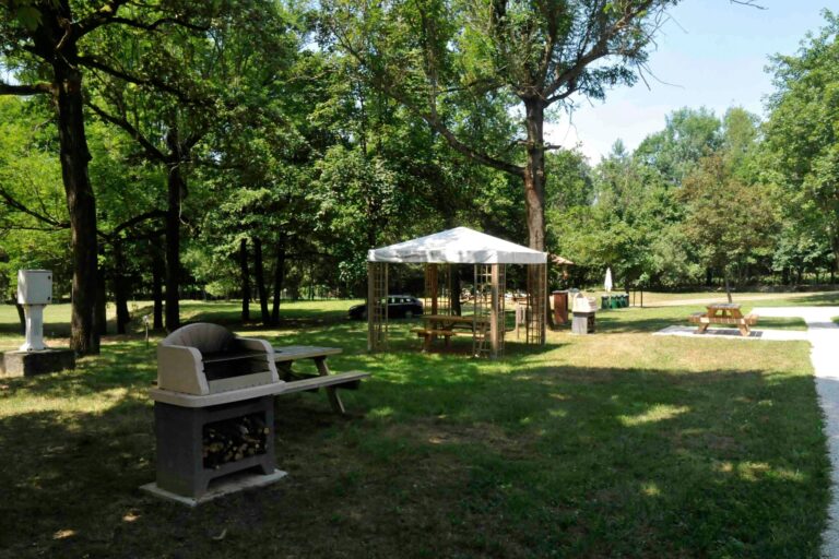 Future Is Nature - Bild 6