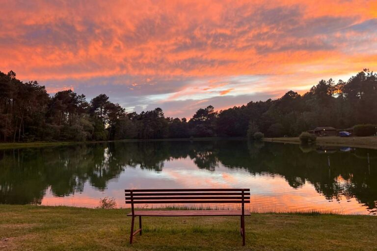 Gaia Ecolodge - Bild 19