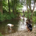 Gaytal Camping Körperich - Bild 4