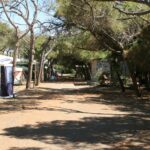 Gitavillage California - Bild 3