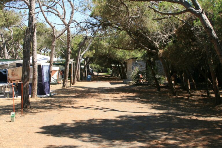 Gitavillage California - Bild 3