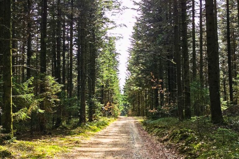 Give Camping - Bild 10