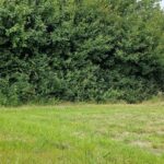 Glamping Camping Nix Hoeve - Bild 6