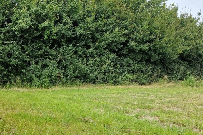 Glamping Camping Nix Hoeve - Bild 6