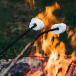 Glamping De Bosweide - Bild 6