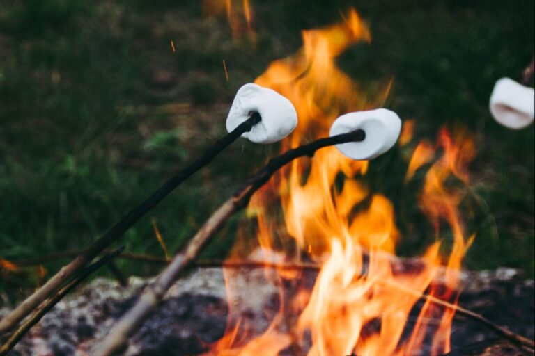 Glamping De Bosweide - Bild 6