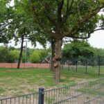 Glampingpark Schloss Thurn - Bild 10