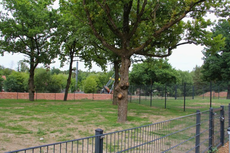 Glampingpark Schloss Thurn - Bild 10