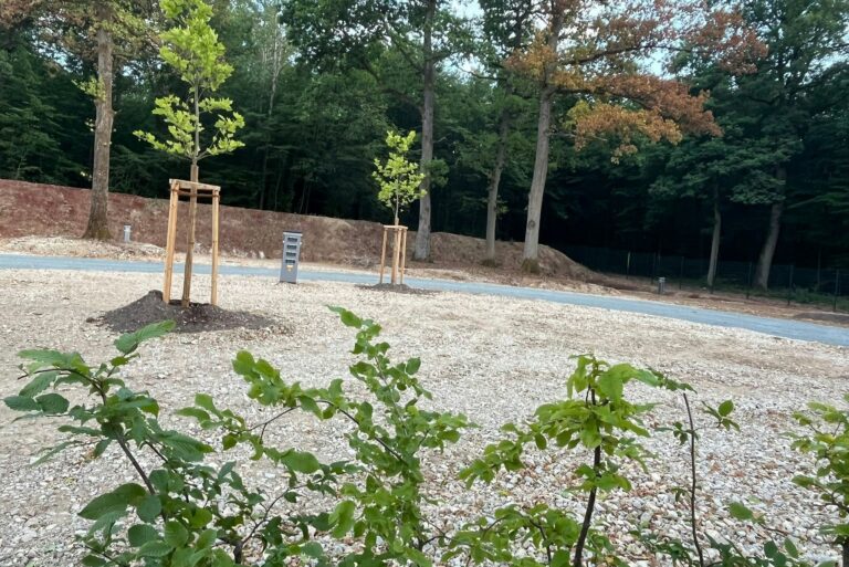 Glampingpark Schloss Thurn - Bild 6