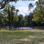 Glampingpark Schloss Thurn - Bild 8