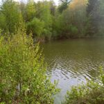 Green Camp Schleierhof - Bild 6