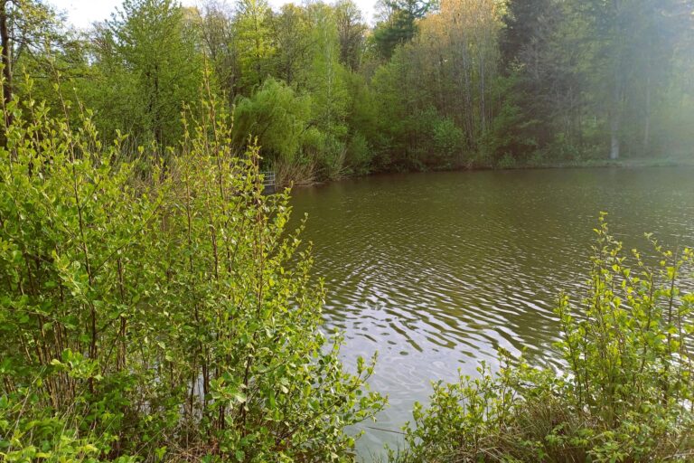 Green Camp Schleierhof - Bild 6