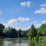 Green Camp Schleierhof - Bild 7