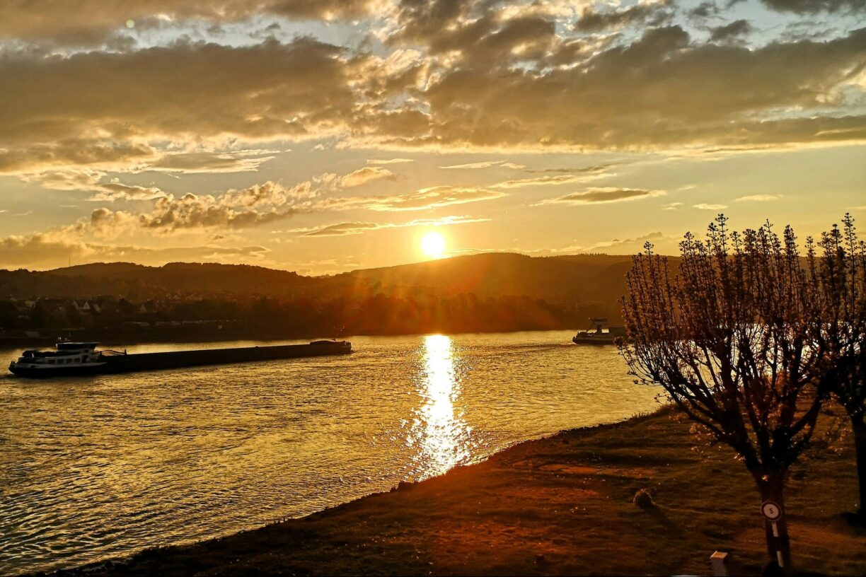 Green Camping Am Rhein - Bild 4 Green Camping Am Rhein - Bild 4