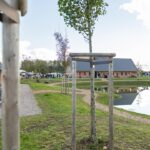 Gut Damp Dorotheenpark - Bild 12 Gut Damp Dorotheenpark - Bild 12