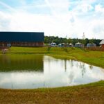 Gut Damp Dorotheenpark - Bild 14 Gut Damp Dorotheenpark - Bild 14