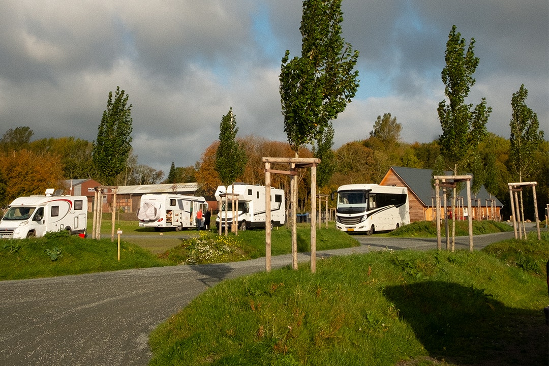 Gut Damp Dorotheenpark - Bild 6 Gut Damp Dorotheenpark - Bild 6