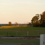 Gut Damp Dorotheenpark - Bild 8 Gut Damp Dorotheenpark - Bild 8