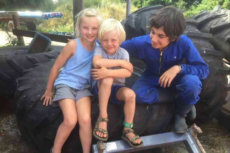 Gyvelborg Økocamping & Gårdbutik - Bild 10