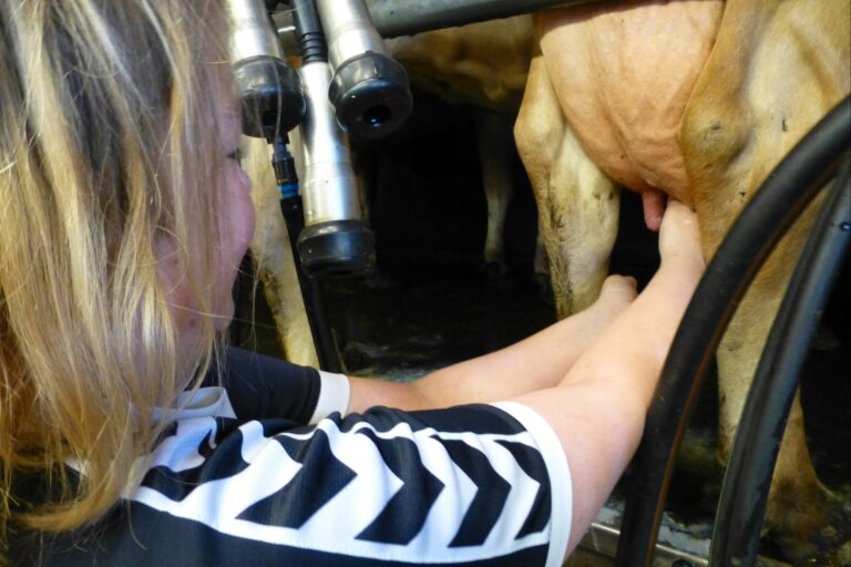 Gyvelborg Økocamping & Gårdbutik - Bild 15