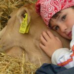 Gyvelborg Økocamping & Gårdbutik - Bild 17