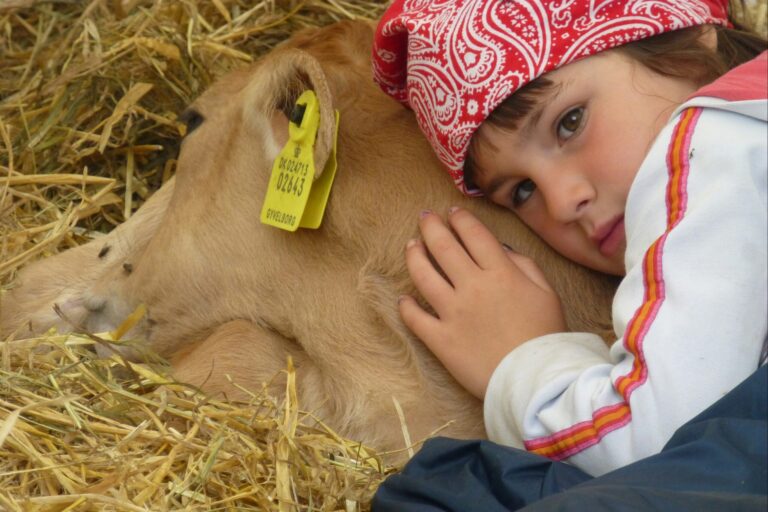 Gyvelborg Økocamping & Gårdbutik - Bild 17