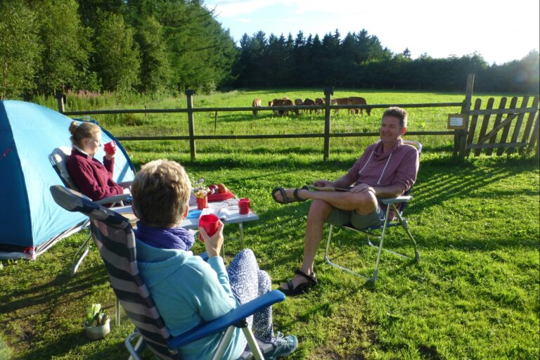 Gyvelborg Økocamping & Gårdbutik - Bild 2
