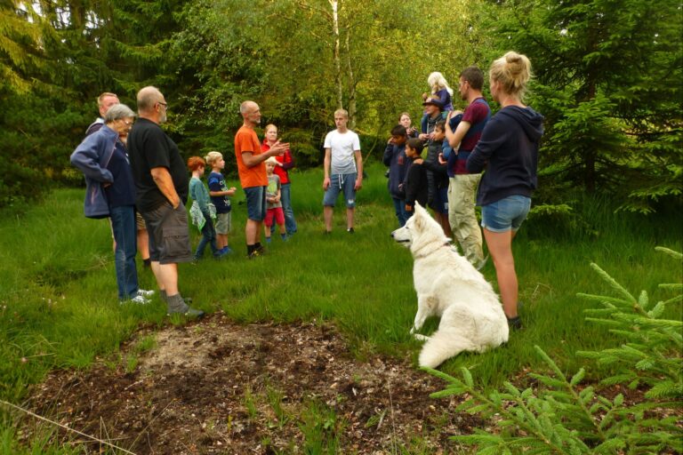 Gyvelborg Økocamping & Gårdbutik - Bild 4