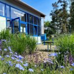 Hafencamp Senftenberger See - Bild 8