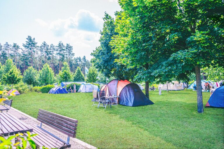 Hafencamp Senftenberger See - Bild 9