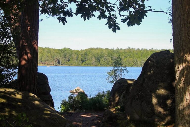 Halens Camping Och Stugby - Bild 11