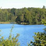 Halens Camping Och Stugby - Bild 4