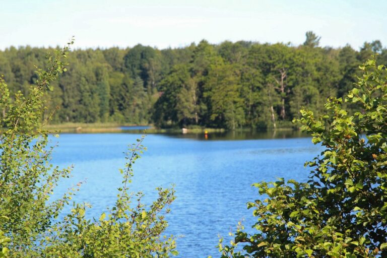 Halens Camping Och Stugby - Bild 4