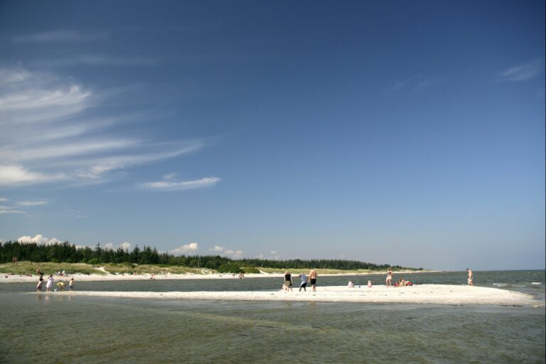 Hals Strand Camping - Bild 5